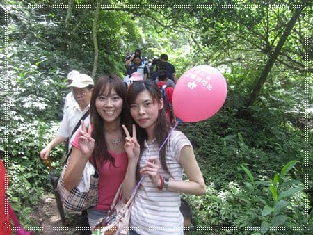 土城桐花季*遊*桐花 - 第14張圖 土城桐花季*遊*桐花