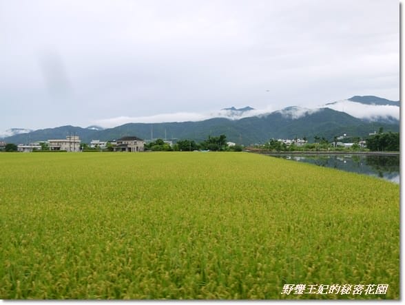 【推薦】令人難忘的田園美景~宜蘭【春不老驛站】民宿˙景觀篇