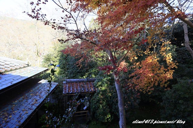 ▌京都賞楓▌京都賞楓名所♥瑠璃光院♥絕美夢幻的紅葉美景by陽光男孩