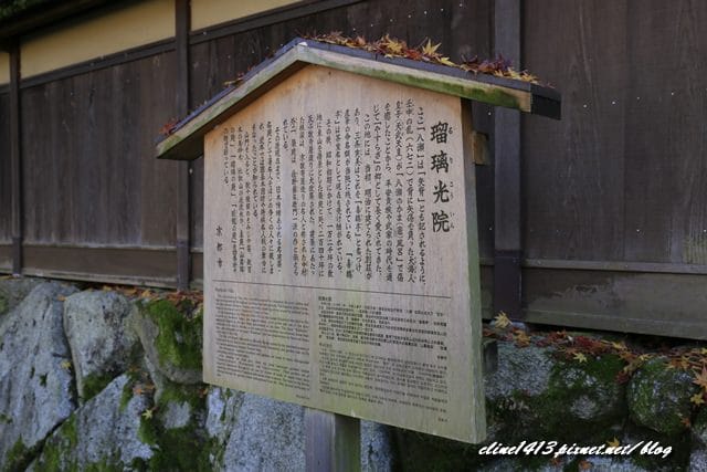▌京都賞楓▌京都賞楓名所♥瑠璃光院♥絕美夢幻的紅葉美景by陽光男孩