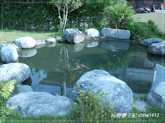 ▌花蓮民宿▌秋天˙我們相約在~花見幸福[景觀篇]