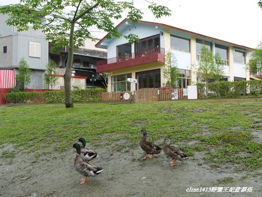 【旅遊】二訪宜蘭˙湖畔莊園& 梅花湖畔遇見桐花