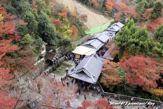 ▌清水寺 ▌京都賞楓必訪景點♥清水寺♥絕美夜楓!京阪賞楓自由行行程分享By陽光男孩