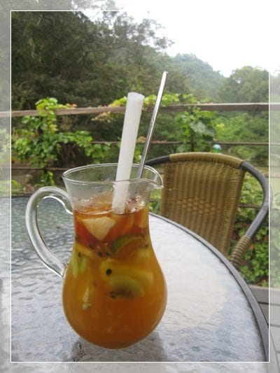 ▌苗栗景點 ▌我在森林綠海!山那邊*綠葉方舟
