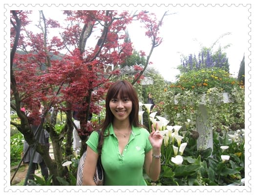 浪漫海芋季<苗榜>&海芋花賞 - 第28張圖 浪漫海芋季<苗榜>&海芋花賞