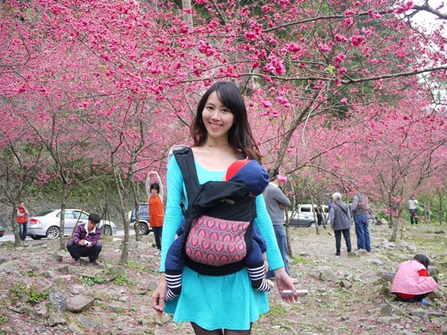 【宜蘭景點】安貴妃拜年♥ 宜蘭三星米香銀柳節♥大同鄉秘境牛鬥賞櫻 ♥