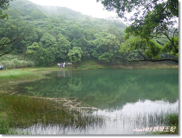 ▌台北景點▌隱身在都市裡的祕境♥汐止新山夢湖♥