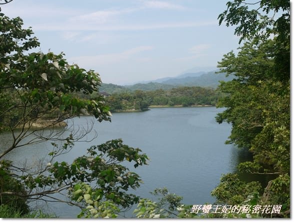 【苗栗景點】全台唯一湖中島~日新島水榭樓台島上咖啡