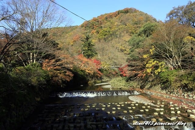 ▌京都賞楓▌京都賞楓名所♥瑠璃光院♥絕美夢幻的紅葉美景by陽光男孩