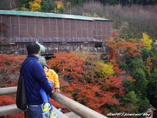 ▌清水寺 ▌京都賞楓必訪景點♥清水寺♥絕美夜楓!京阪賞楓自由行行程分享By陽光男孩
