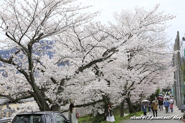_MG_8726.JPG