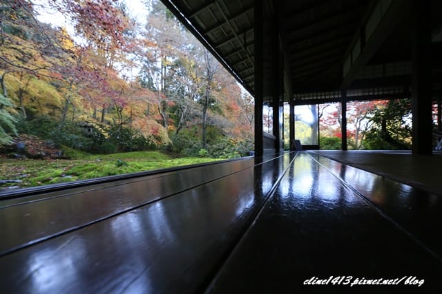 ▌京都賞楓▌京都賞楓名所♥瑠璃光院♥絕美夢幻的紅葉美景by陽光男孩