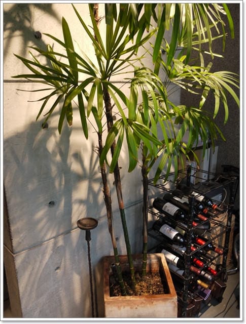 新髮型& 清幽典雅【豐華小館】聚餐
