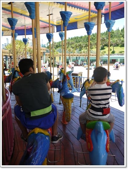 ▌花蓮海洋公園▌以為到了國外?這裡是太平洋海岸最大最美的花蓮海洋公園 - 第24張圖 ▌花蓮海洋公園▌以為到了國外?這裡是太平洋海岸最大最美的花蓮海洋公園