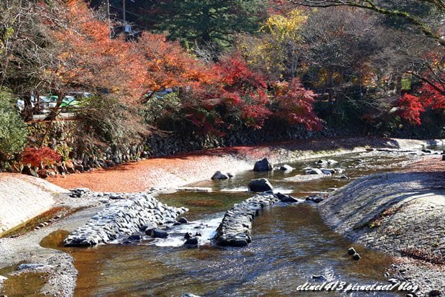 ▌京都賞楓▌京都賞楓名所♥瑠璃光院♥絕美夢幻的紅葉美景by陽光男孩