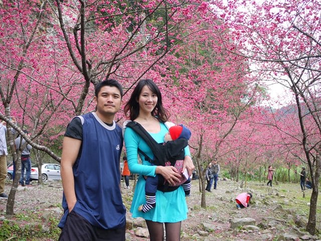 【宜蘭景點】安貴妃拜年♥ 宜蘭三星米香銀柳節♥大同鄉秘境牛鬥賞櫻 ♥
