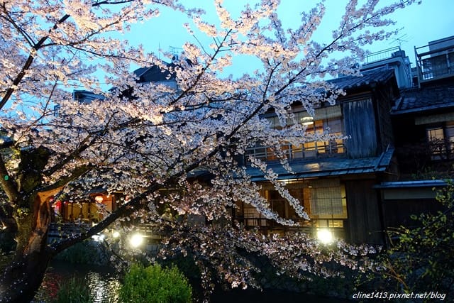 ▌京都。賞櫻▌♥京都十大賞櫻景點、賞櫻路線♥2016日本櫻花情報分享