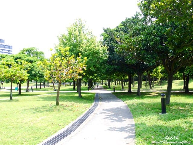 18.JPG
