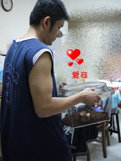 ▌三寶媽碎碎念▌男子舍監的辛酸誰人知?(我與甲蟲的愛恨情仇)
