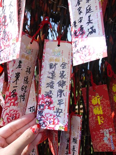 【宜蘭景點】安貴妃拜年♥ 宜蘭三星米香銀柳節♥大同鄉秘境牛鬥賞櫻 ♥