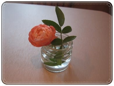 ▌新板橋下午茶▌HANA <板橋環球店> 下午茶