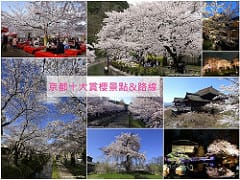 ▌日本大阪必逛▌♥臨空城Rinku Premium Outlets♥Le Creuset 鑄鐵鍋、GAP(4~7折)好好買、使用coupon再打95折