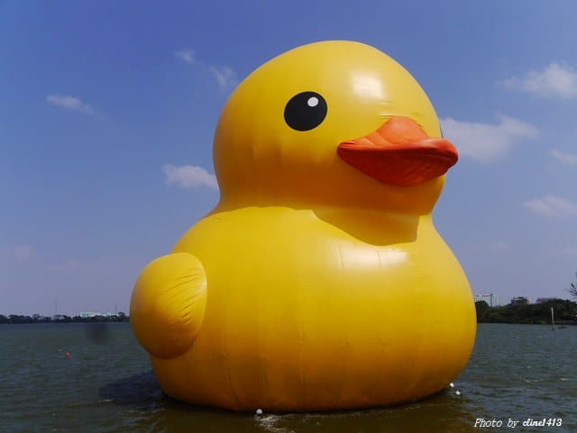 36.JPG