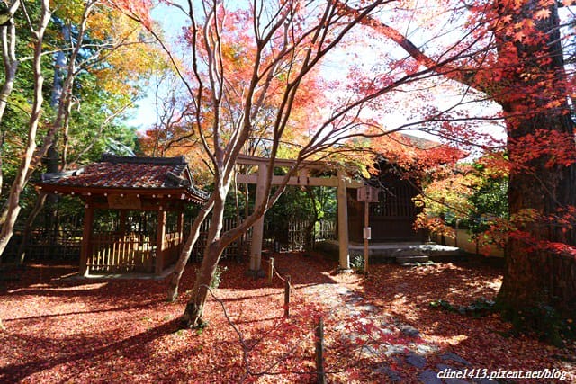 ▌京都賞楓▌♥蓮華寺♥小景卻意外讓人驚豔的楓葉美景