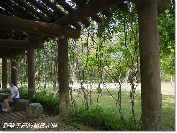 【苗栗景點】全台唯一湖中島~日新島水榭樓台島上咖啡