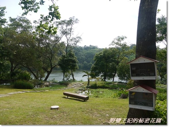 【苗栗景點】全台唯一湖中島~日新島水榭樓台島上咖啡