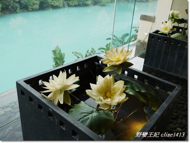 情人節【春秋烏來】溫泉˙美食之旅
