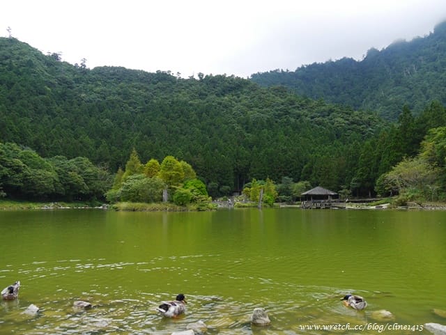 ▌宜蘭景點▌美如仙境的避暑盛地♥ 明池森林遊樂園區♥