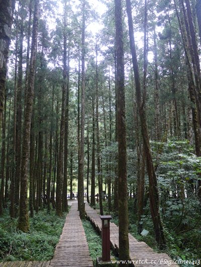 ▌宜蘭景點▌美如仙境的避暑盛地♥ 明池森林遊樂園區♥