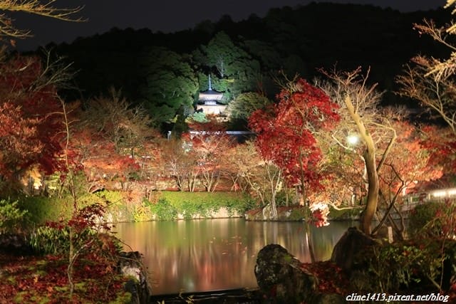 ▌京都賞楓▌必訪名所♥永觀堂♥日楓、夜楓都很迷人