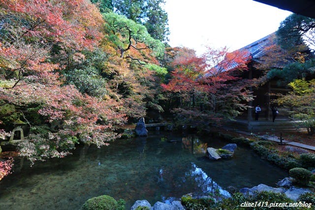 ▌京都賞楓▌♥蓮華寺♥小景卻意外讓人驚豔的楓葉美景