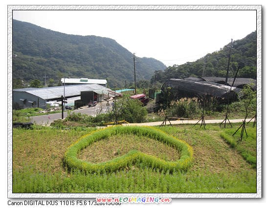病房同樂會 ~<苺圃>採草莓趣