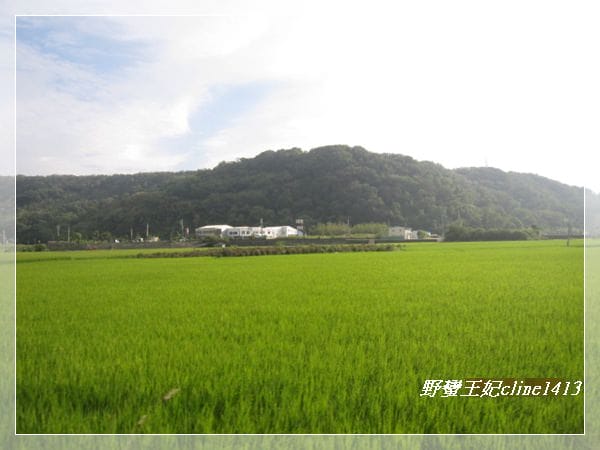 苗栗三義~龍騰斷橋&鯉魚潭水庫 - 第19張圖 苗栗三義~龍騰斷橋&鯉魚潭水庫