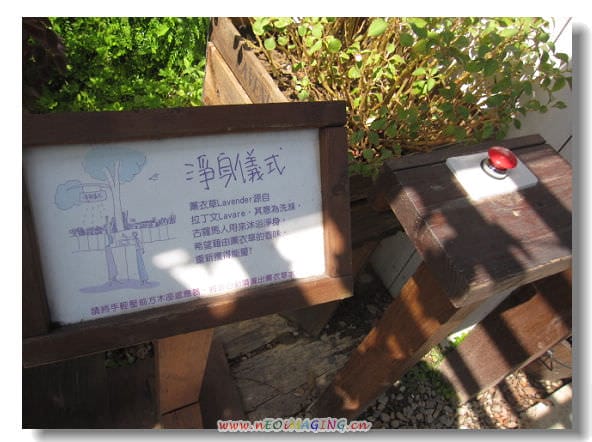 ▌苗栗景點▌仲夏*幸福薰衣草森林之旅[明德店]