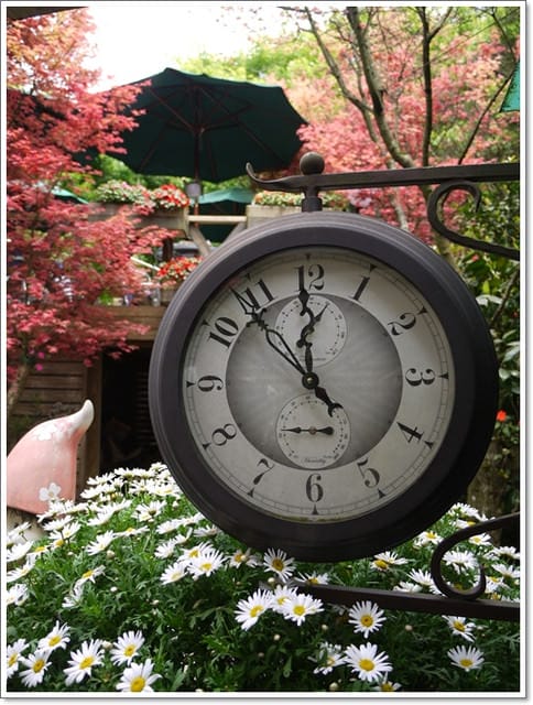 春天˙楓葉紅了~【台北奧萬大】賞楓好地方