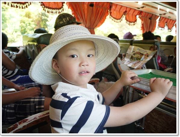 ▌花蓮海洋公園▌以為到了國外?這裡是太平洋海岸最大最美的花蓮海洋公園 - 第3張圖 ▌花蓮海洋公園▌以為到了國外?這裡是太平洋海岸最大最美的花蓮海洋公園