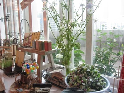 ▌新板橋下午茶▌HANA <板橋環球店> 下午茶