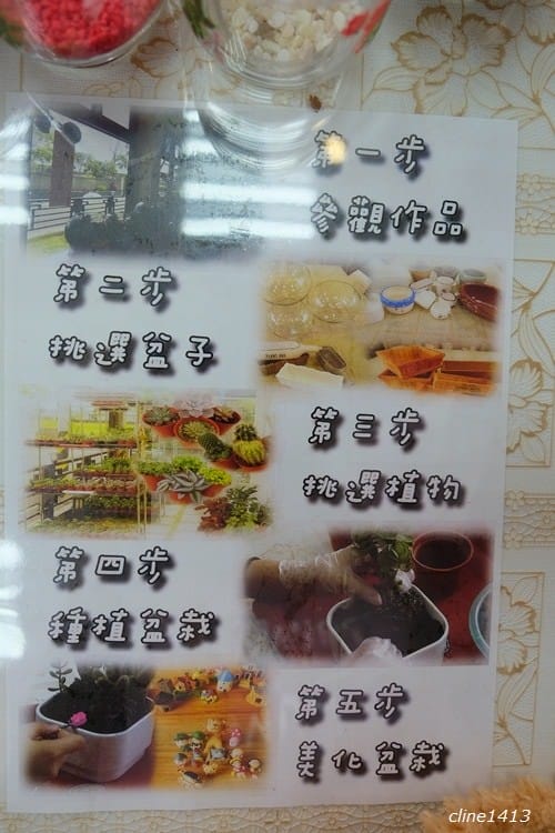 ▌宜蘭新景點▌療癒又有趣的♥多肉王國♥親手DIY盆栽好好玩! 親子DIY/親子景點/雨天備案好去處