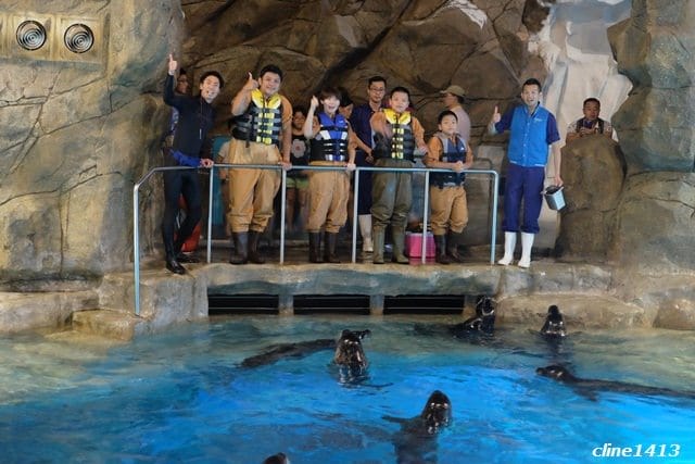 ▌2016香港親子行▌♥香港海洋公園Ocean Park Hong Kong ♥三天兩夜精彩行程分享(海洋公園夏水禮、海綿寶寶夏水派對)