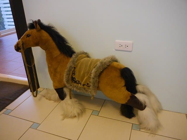 77.JPG