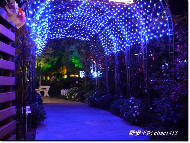 ▌南投清境▌夜晚比白天更美麗的[清境小瑞士]˙夜間水舞