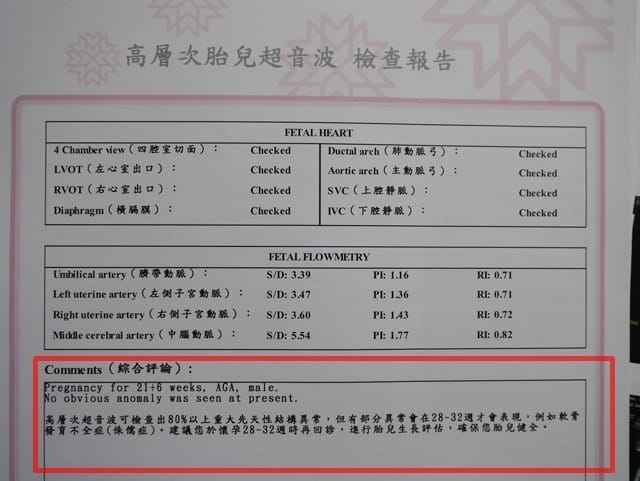 ▌四寶弟孕期紀錄▌孕期紀錄♥22週禾馨高層次超音波、11週非侵入性產前染色體檢測NIPS♥