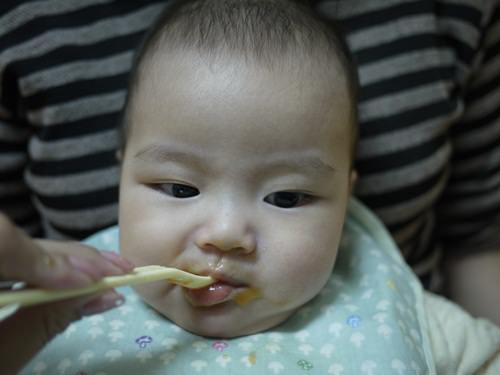 【6M】小王子的第一口副食品♥Cuisinart CSB-77TW手持式攪拌棒♥作副食品一定要有的小幫手!