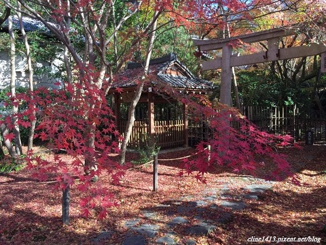 ▌京都賞楓▌♥蓮華寺♥小景卻意外讓人驚豔的楓葉美景
