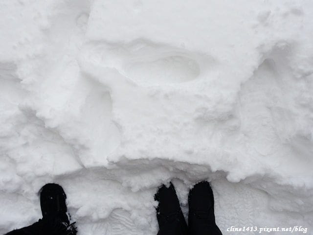 ▌北海道穿搭▌冬季♥北海道保暖穿搭術♥行前準備、雪地穿搭分享