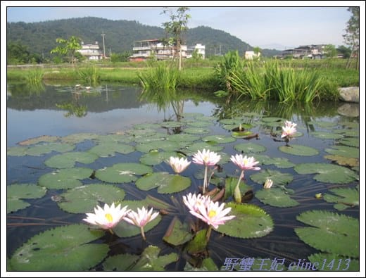 夢幻玻璃屋~宜蘭*水畔星墅 [景觀篇]
